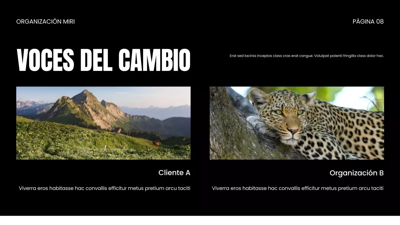 Presentación de la ONG Wildlife Protection