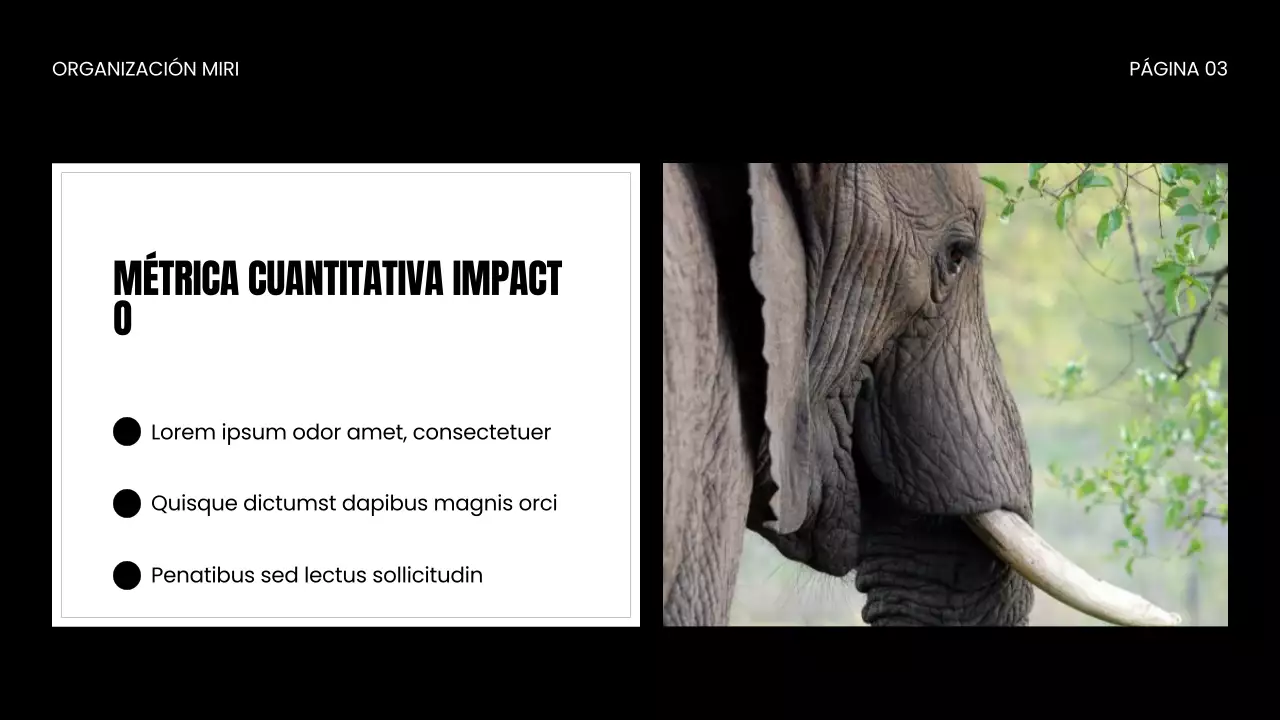 Presentación de la ONG Wildlife Protection