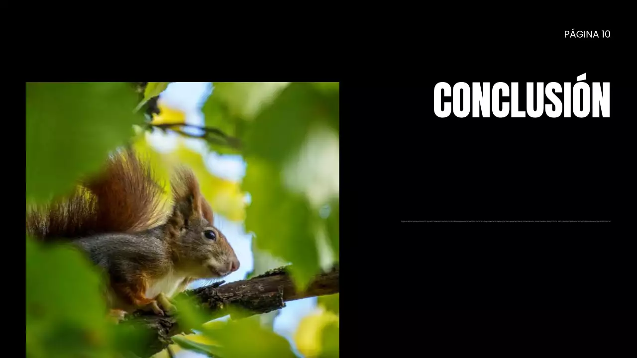 Presentación de la ONG Wildlife Protection