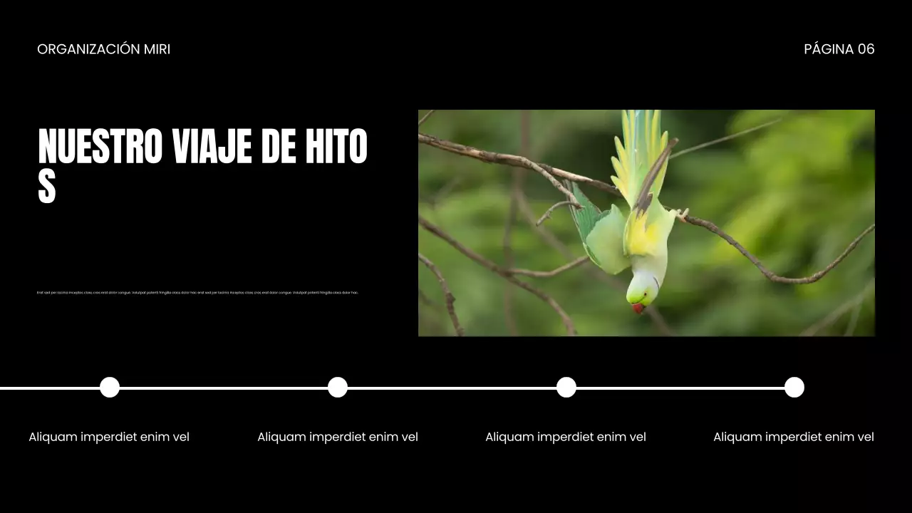 Presentación de la ONG Wildlife Protection