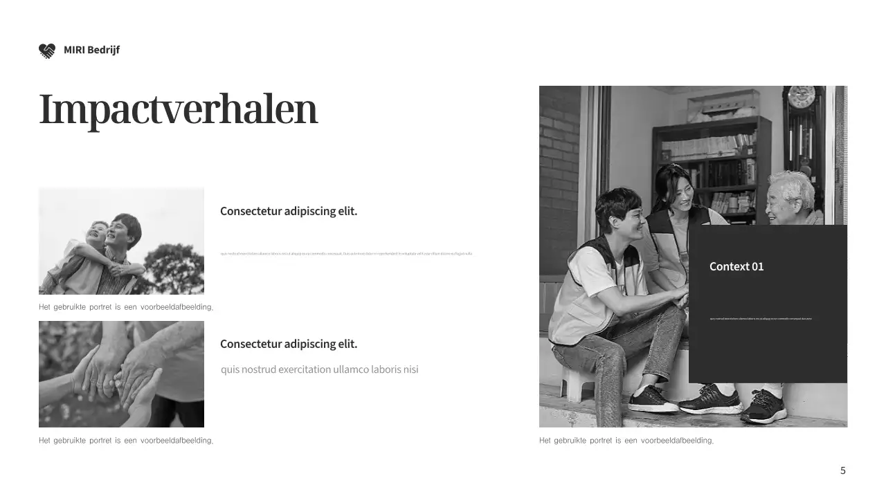 Zilver Modern Fondsenwerving Document