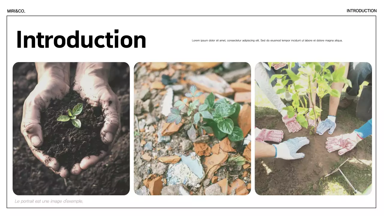 Green Minimalist Sustainability Announcement