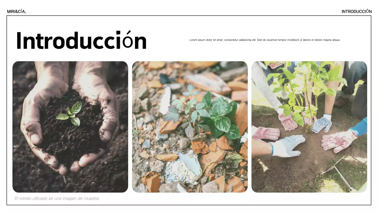 Green Minimalist Anuncio de sostenibilidad