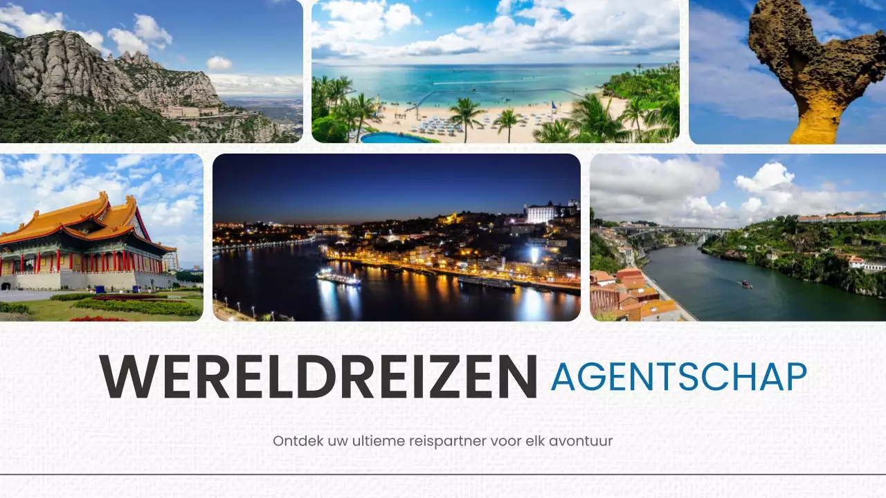 Blue Modern Reis Promotie