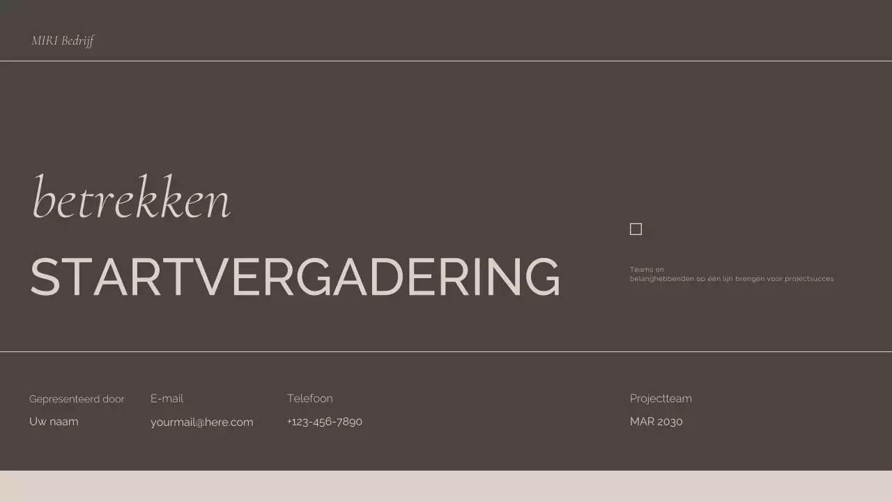 presentatie bruine professionele bijeenkomst