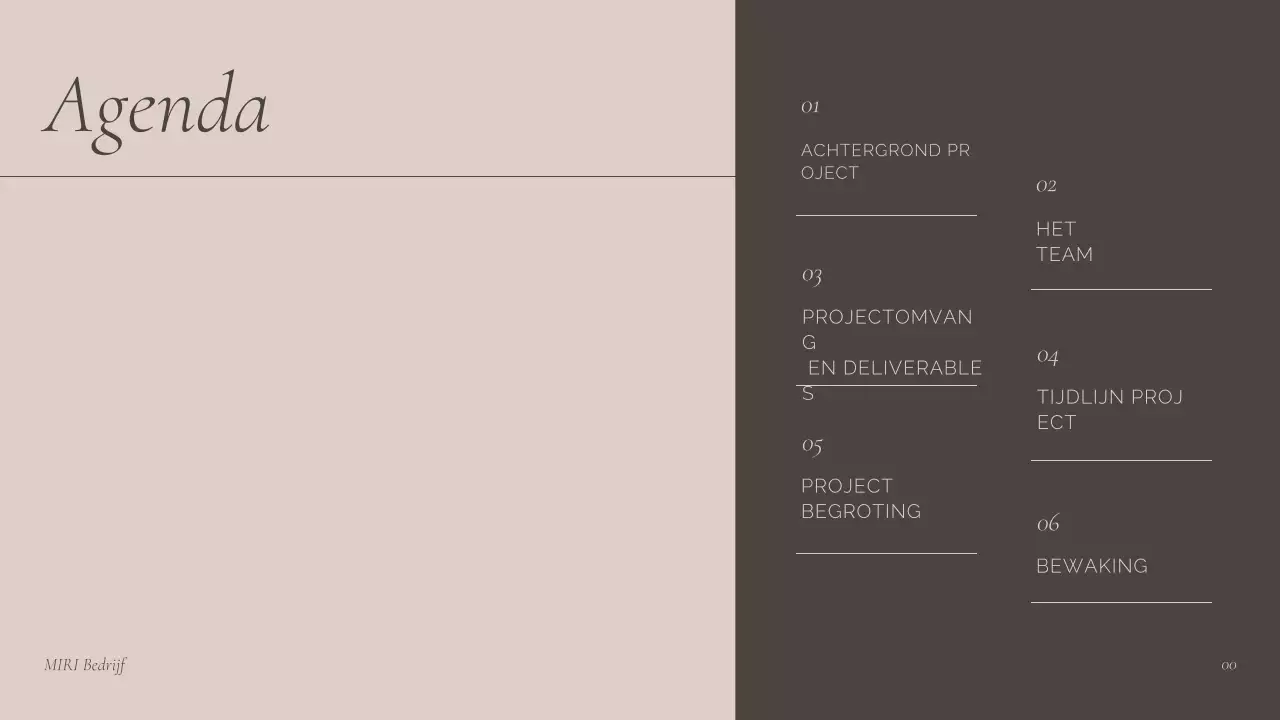 presentatie bruine professionele bijeenkomst