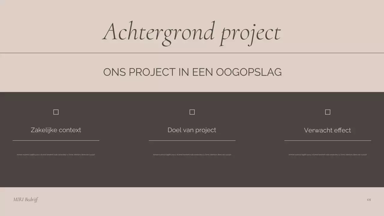 presentatie bruine professionele bijeenkomst