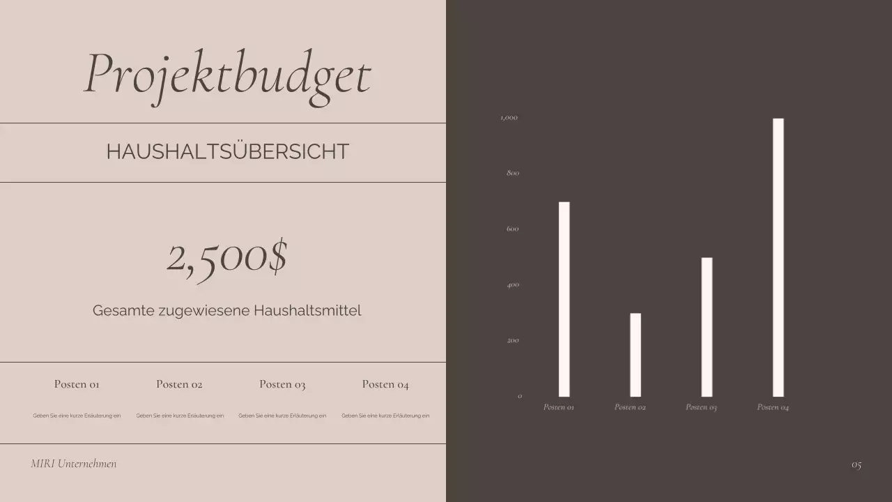 Braunes Fachgespräch Präsentation