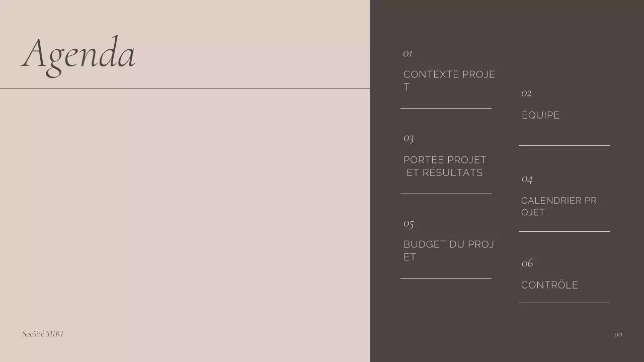 présentation de la réunion professionnelle de Brown