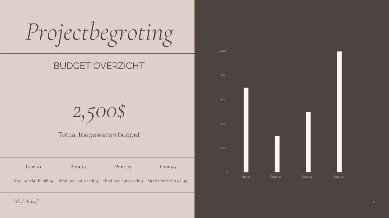 presentatie bruine professionele bijeenkomst