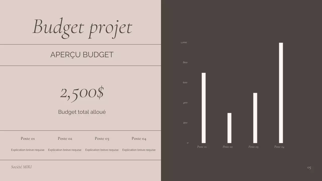présentation de la réunion professionnelle de Brown