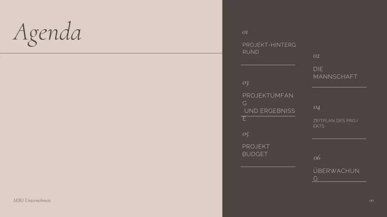 Braunes Fachgespräch Präsentation