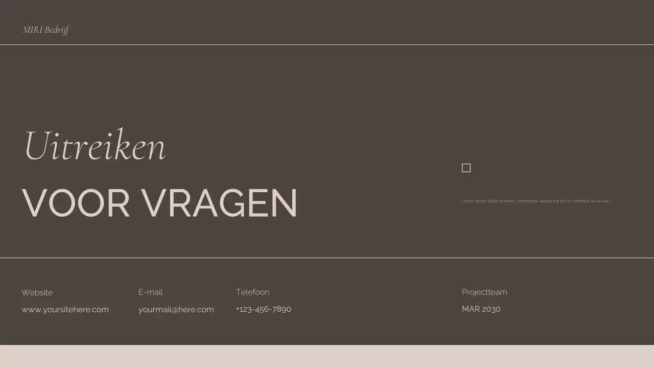 presentatie bruine professionele bijeenkomst