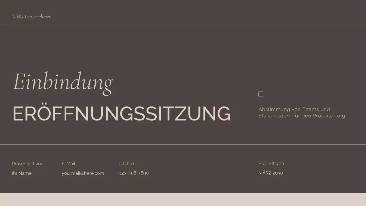 Braunes Fachgespräch Präsentation