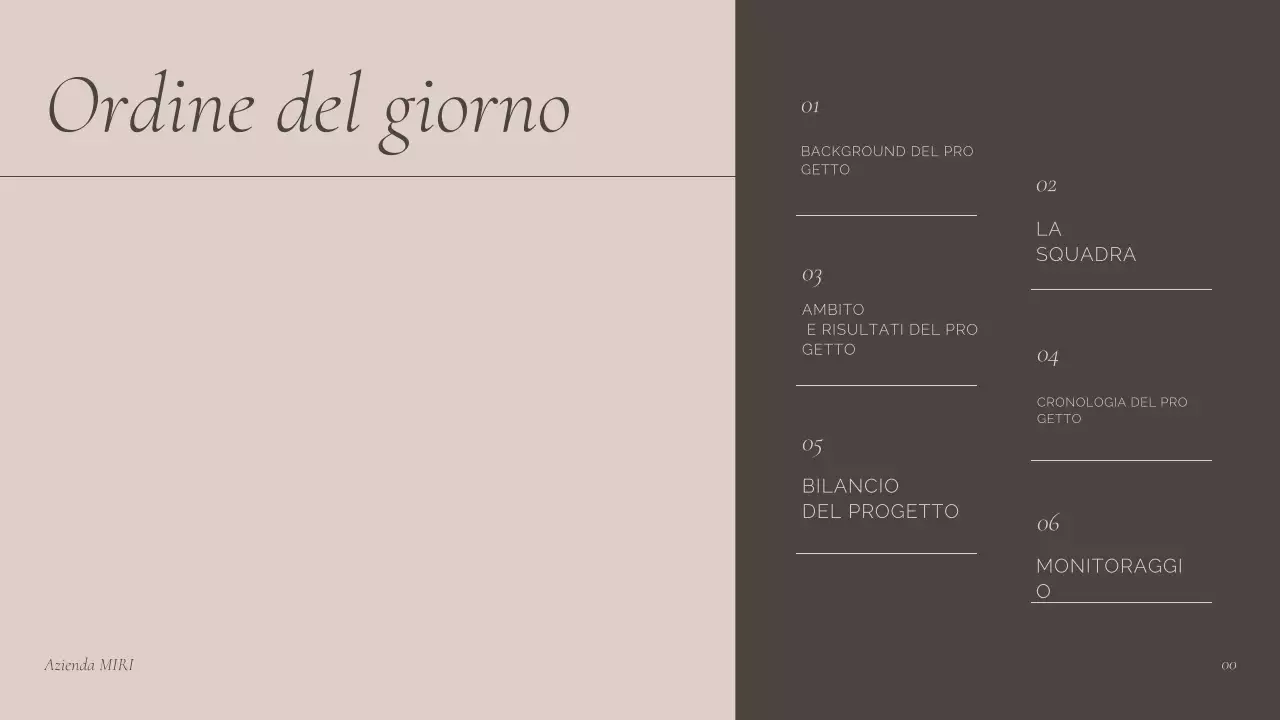 presentazione della riunione professionale di Brown