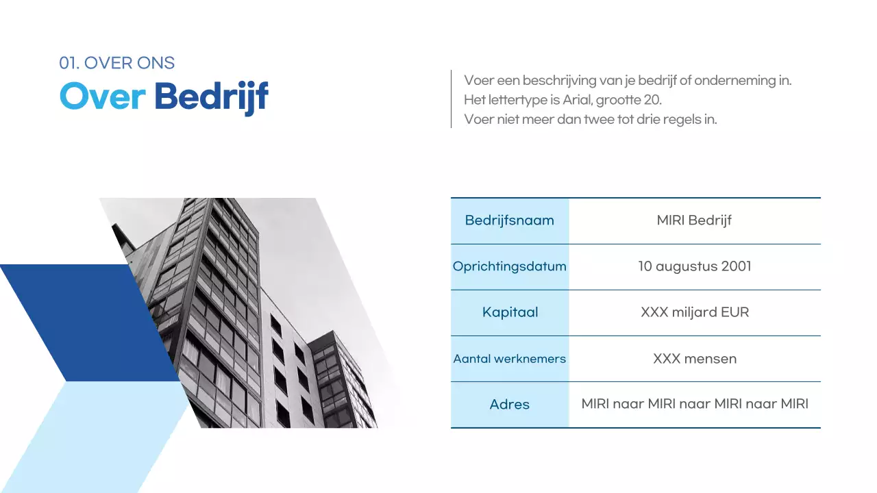 Lichtblauw Modern Zakelijk beschrijving