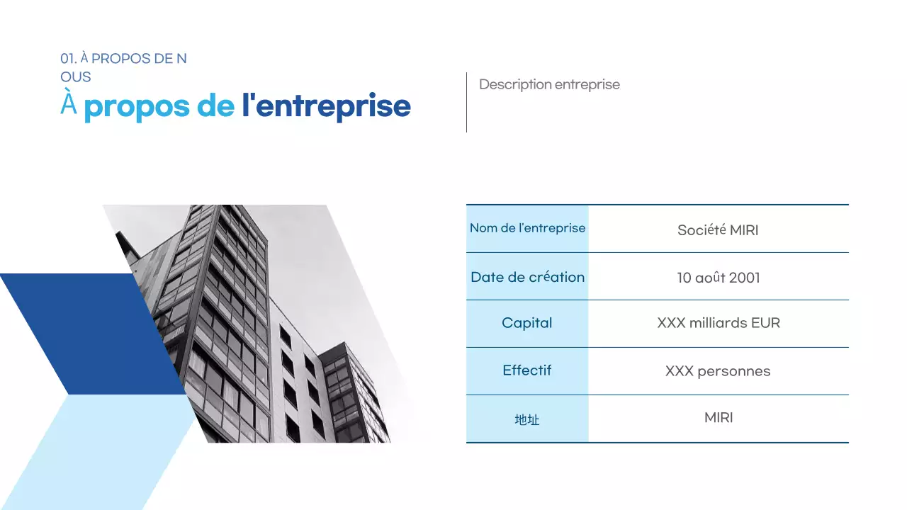Bleu clair Description de l'entreprise moderne