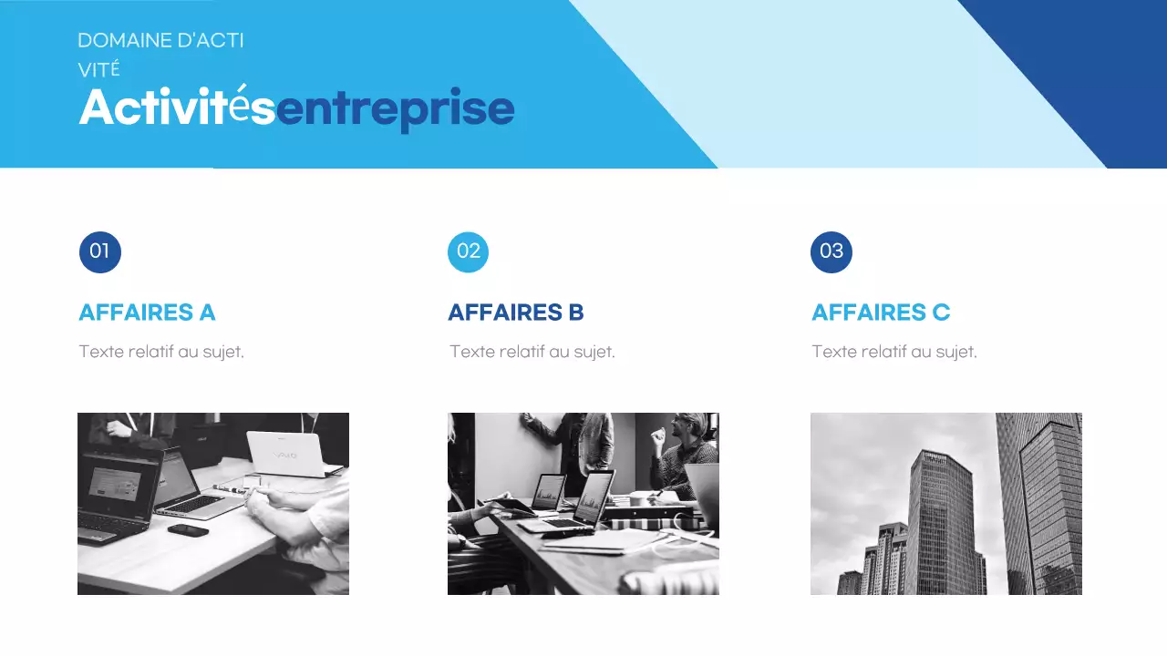 Bleu clair Description de l'entreprise moderne