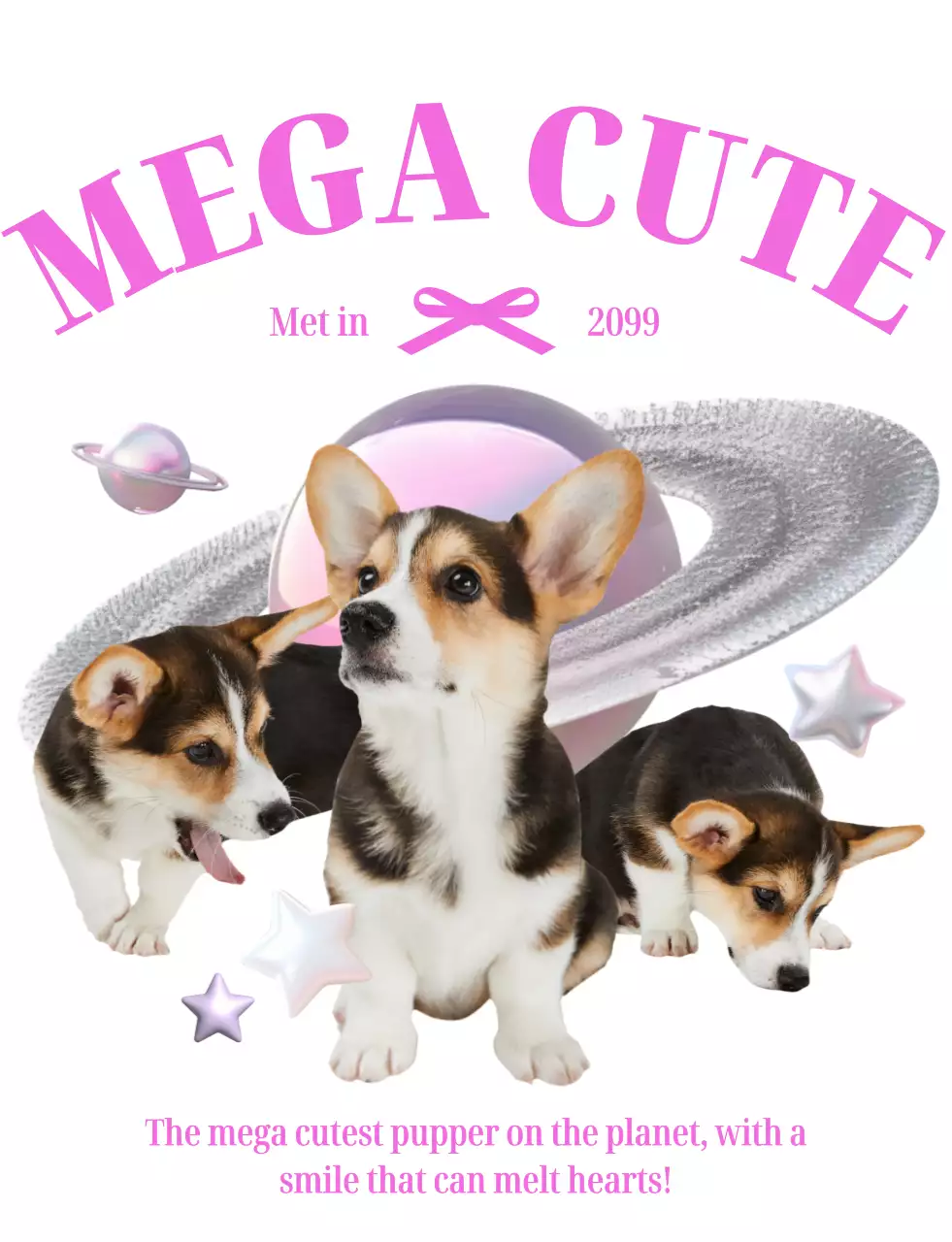 ピンク キッチュペット グッズ