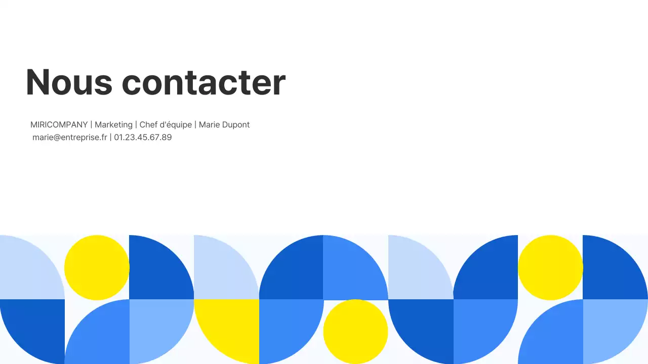 Rapport d'activité de Blue Geometry