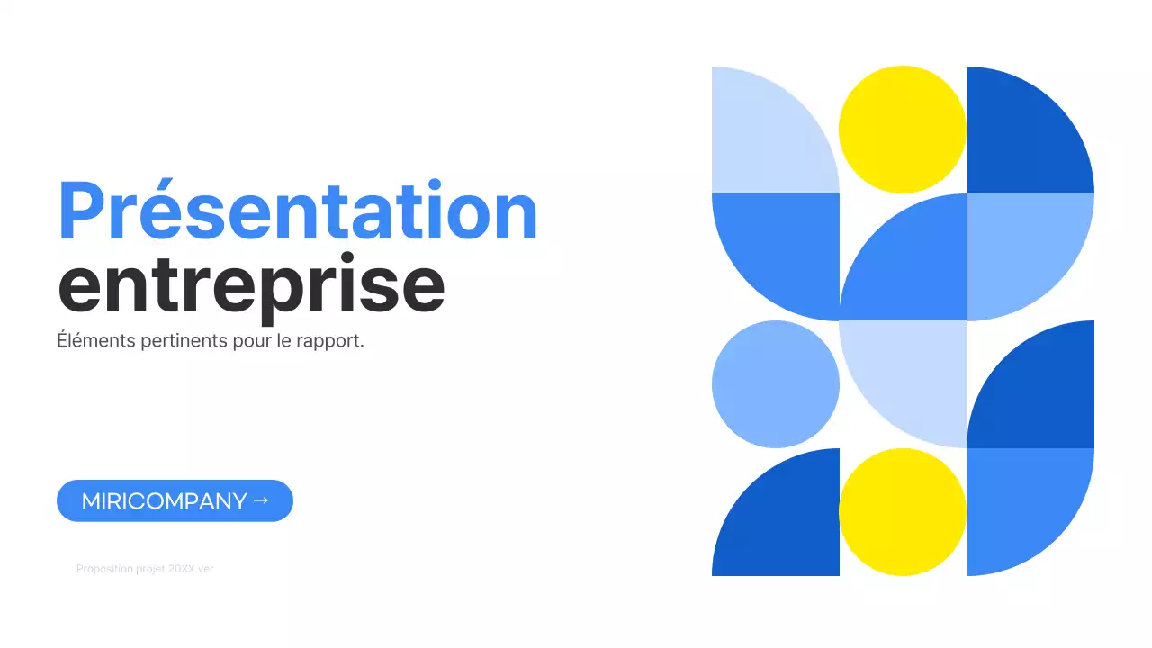 Rapport d'activité de Blue Geometry