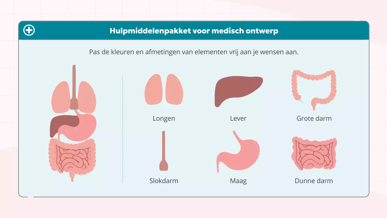 roze blauw schattig medisch onderwijs
