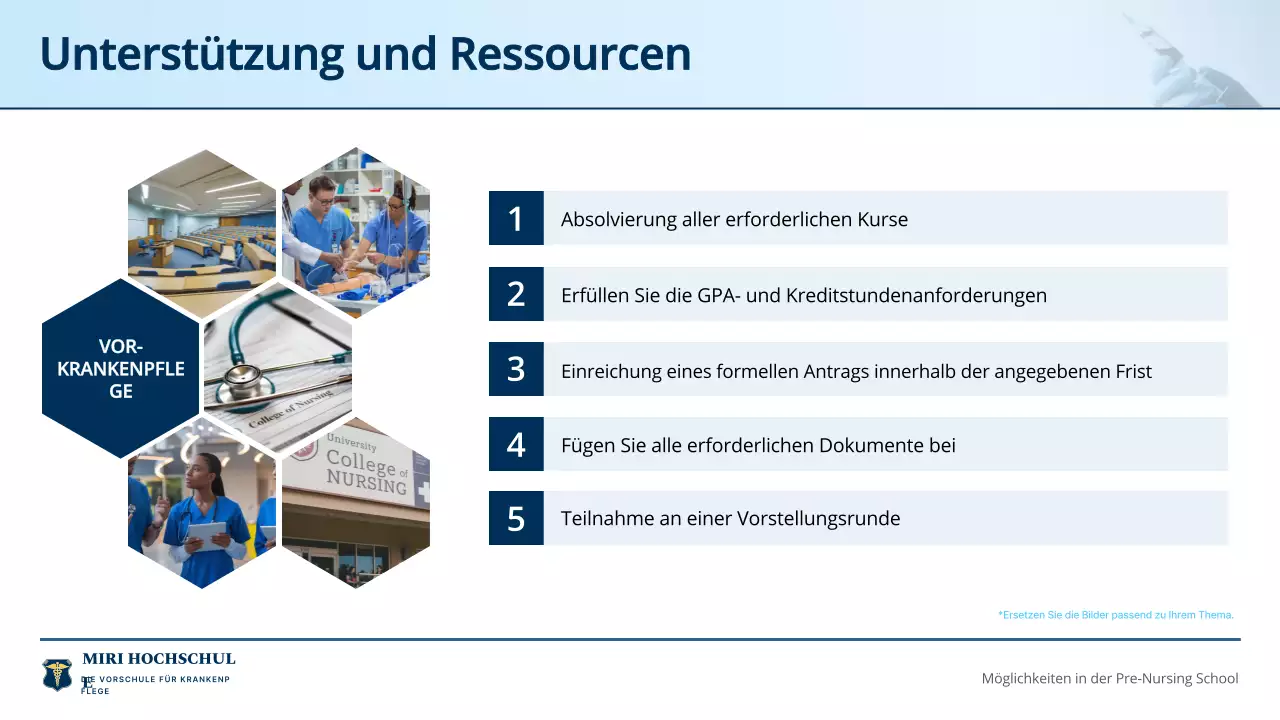 blue professional nursing program einladungsführer