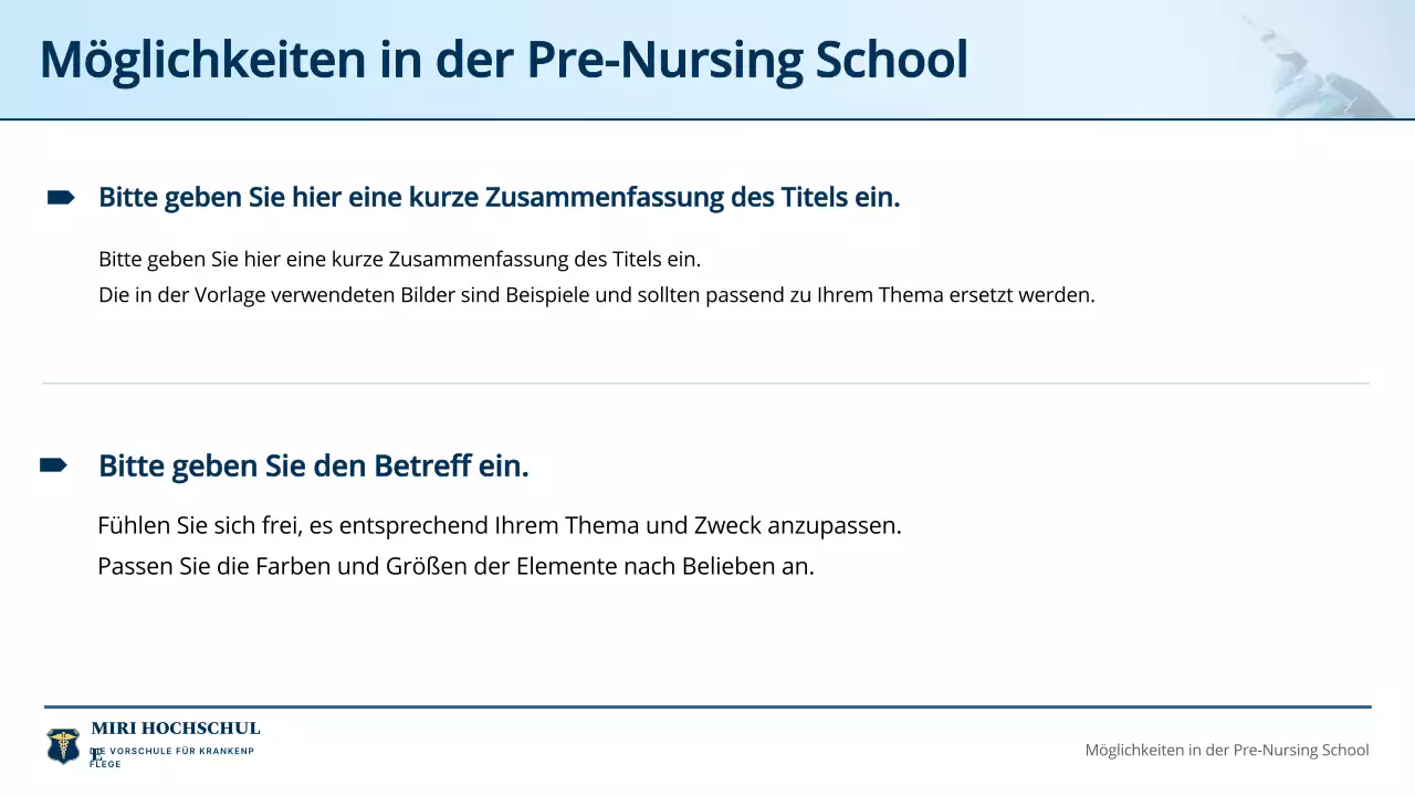 blue professional nursing program einladungsführer