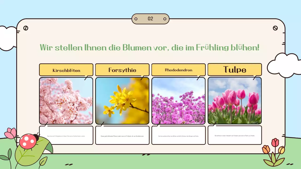 Ein Leitfaden für das hellblaue Frühlingsfest