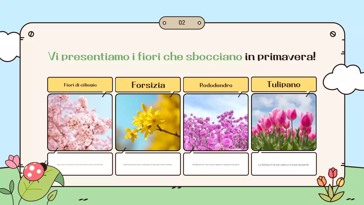 Guida alla festa della primavera azzurra