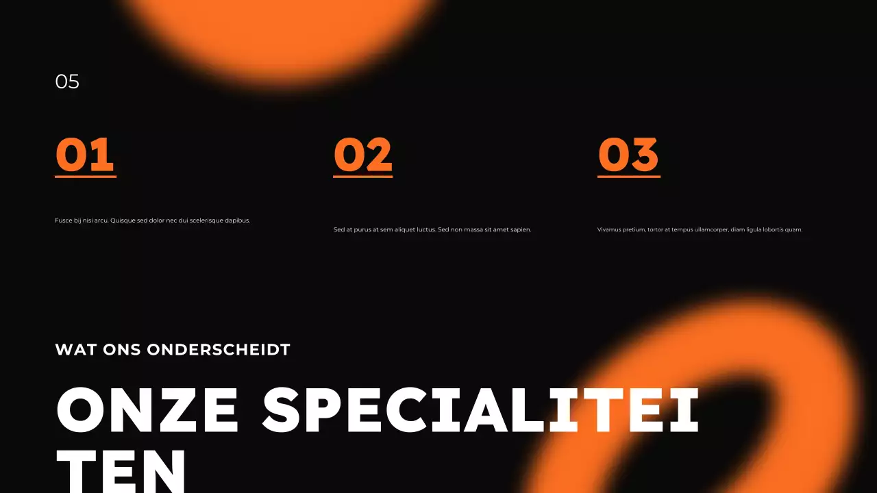 Reisbureau Promotie Presentatie