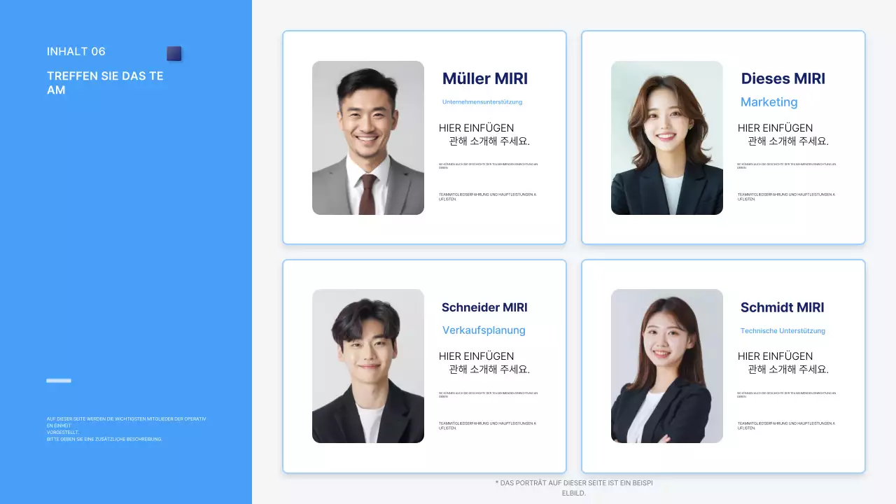 Blue Clean Vorschlag Beschreibung