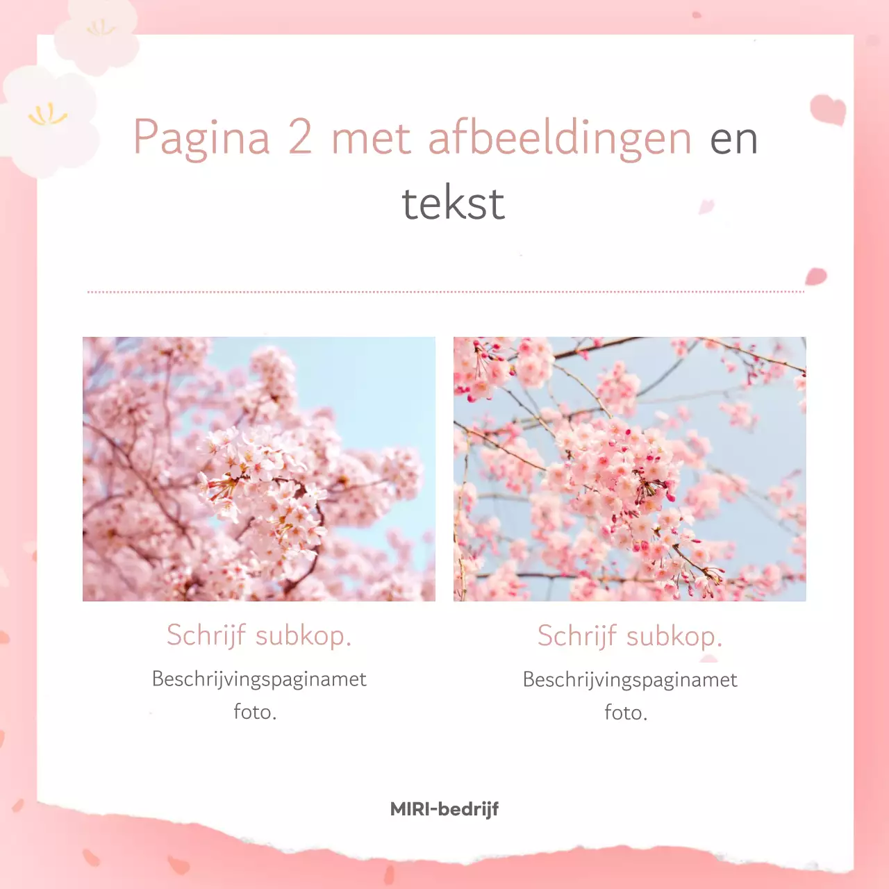Roze eenvoudige lente ansichtkaart