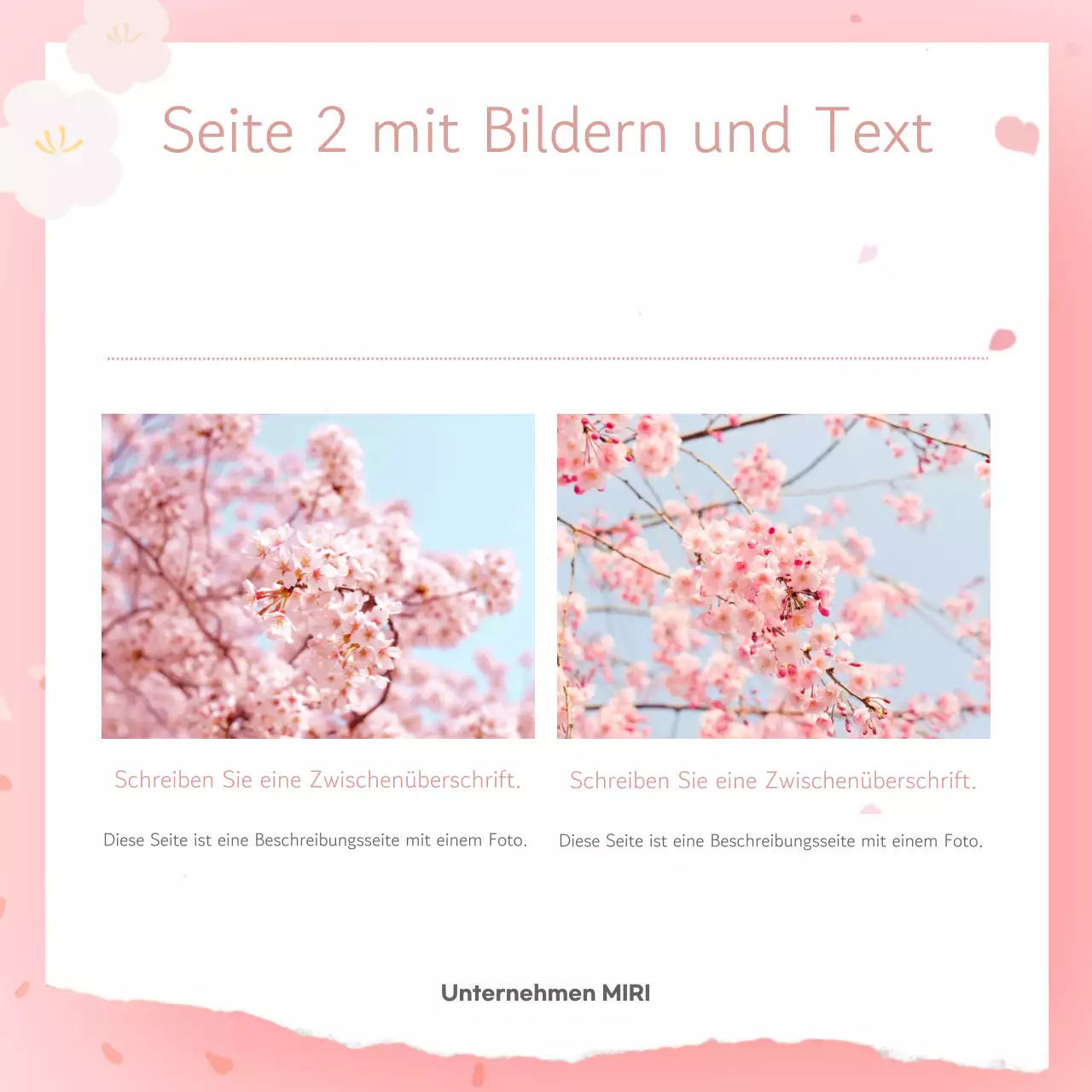 Rosa Einfache Frühling Postkarte