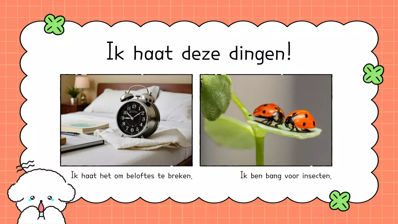 Oranje schattige bio instructies