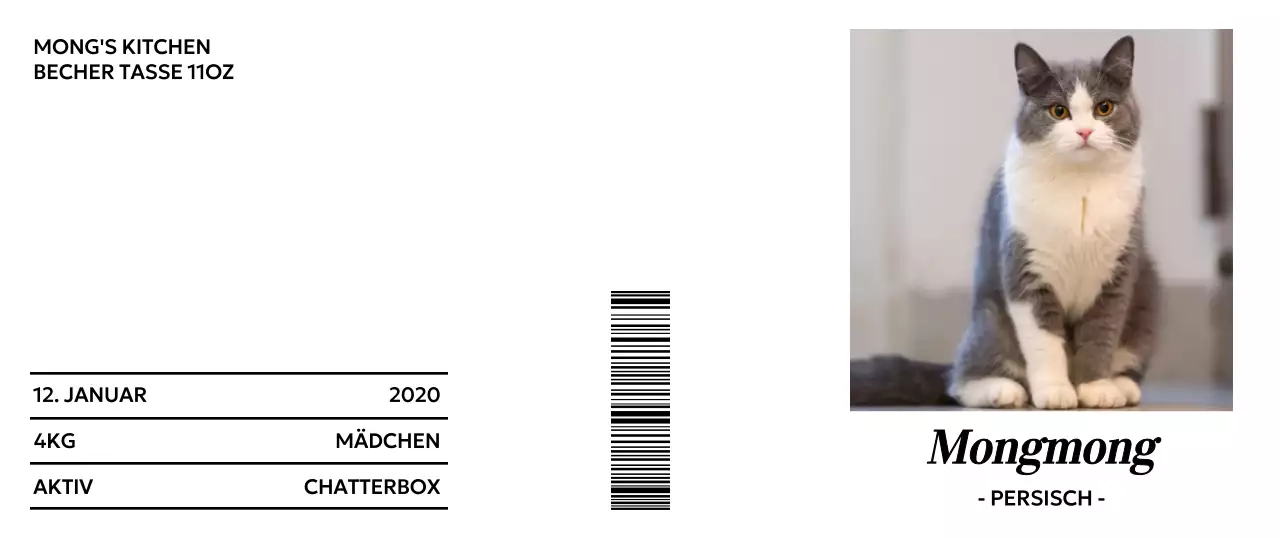 Minimalistische Typografie mit niedlichen Katzenfotos