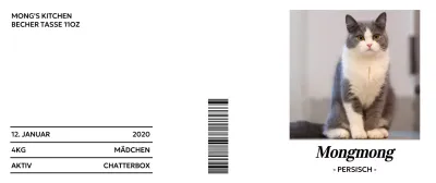 Minimalistische Typografie mit niedlichen Katzenfotos