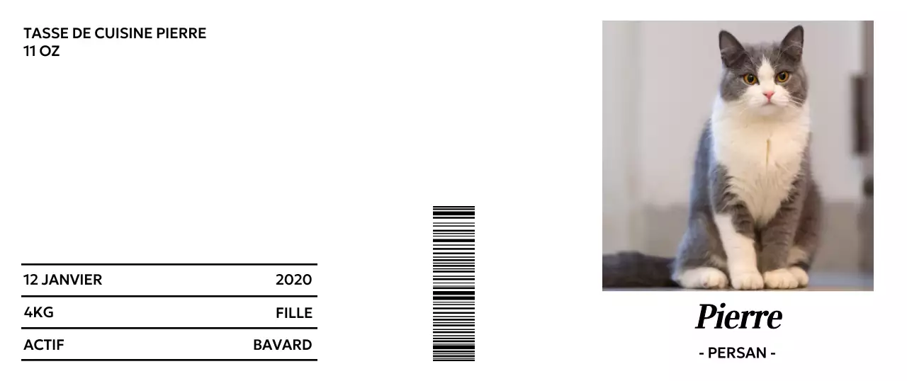 Typographie minimaliste de marchandises avec des photos de chats mignons