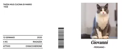 Merchandising tipografico minimalista con simpatiche foto di gatti