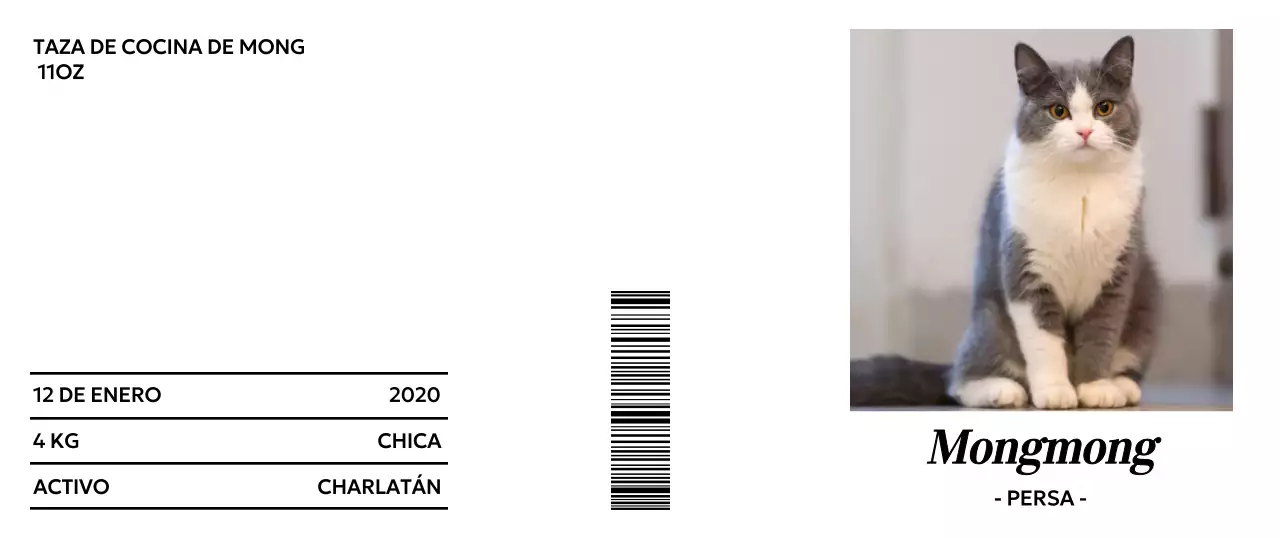 Mercancía de tipografía minimalista con bonitas fotos de gatos