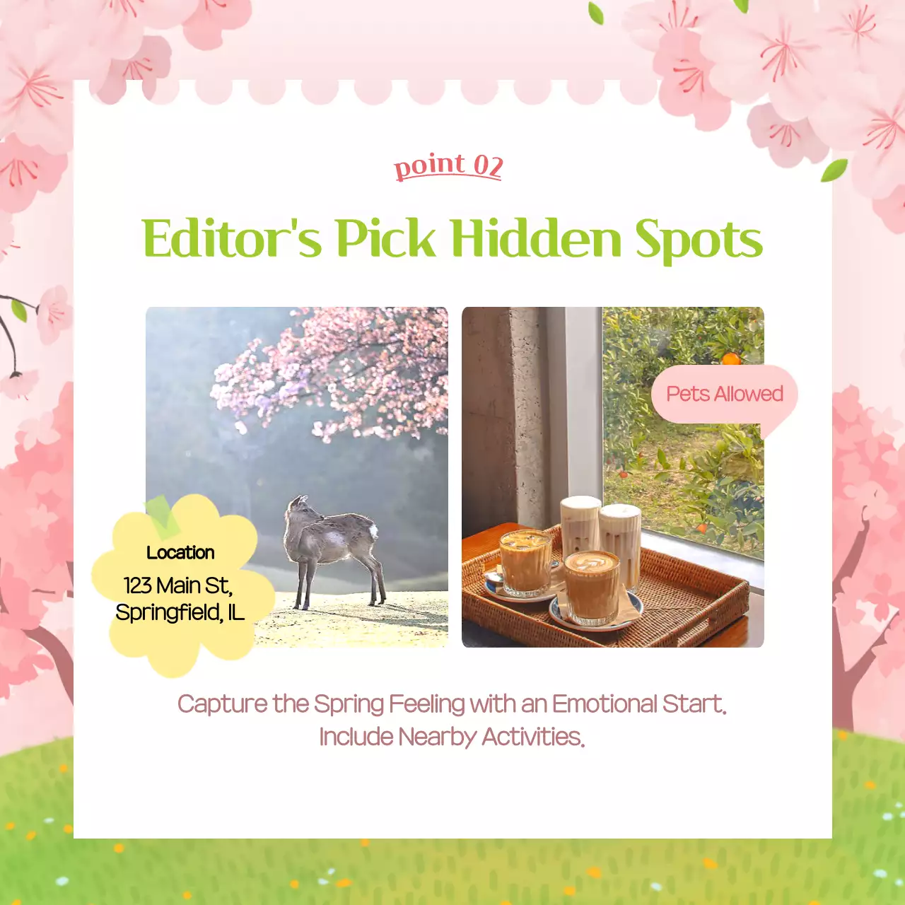 Pink's Pretty Spring Break Newsletter