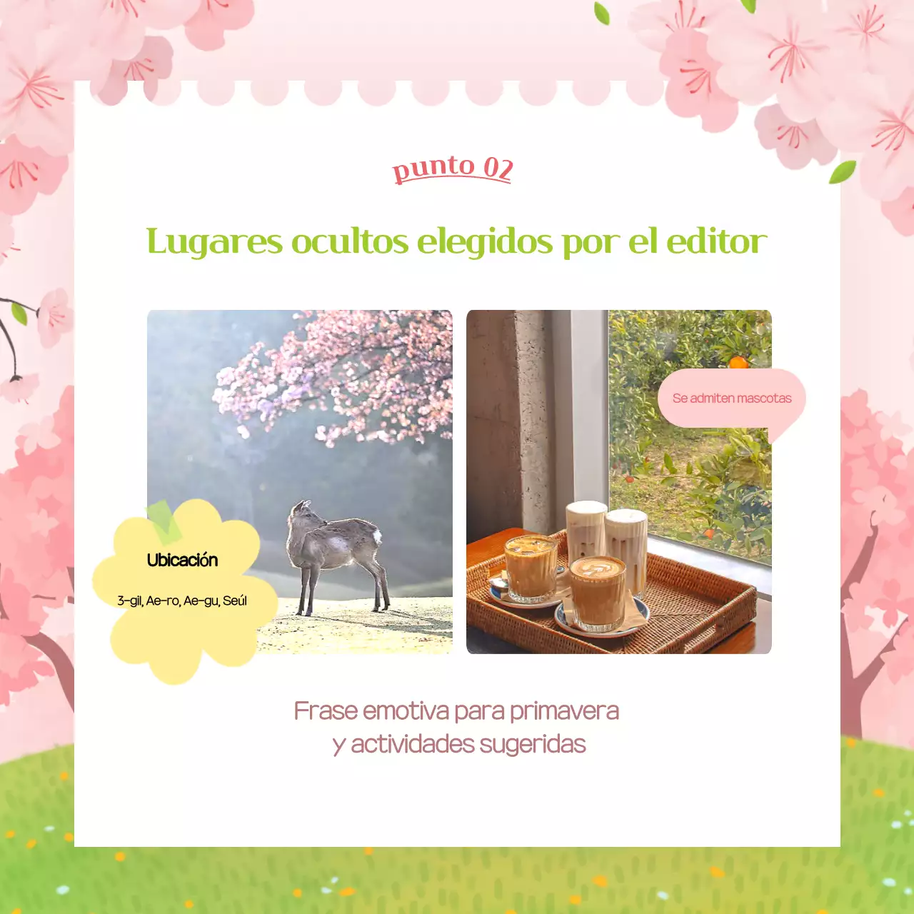 Boletín de noticias de Pink's Pretty Spring Getaway