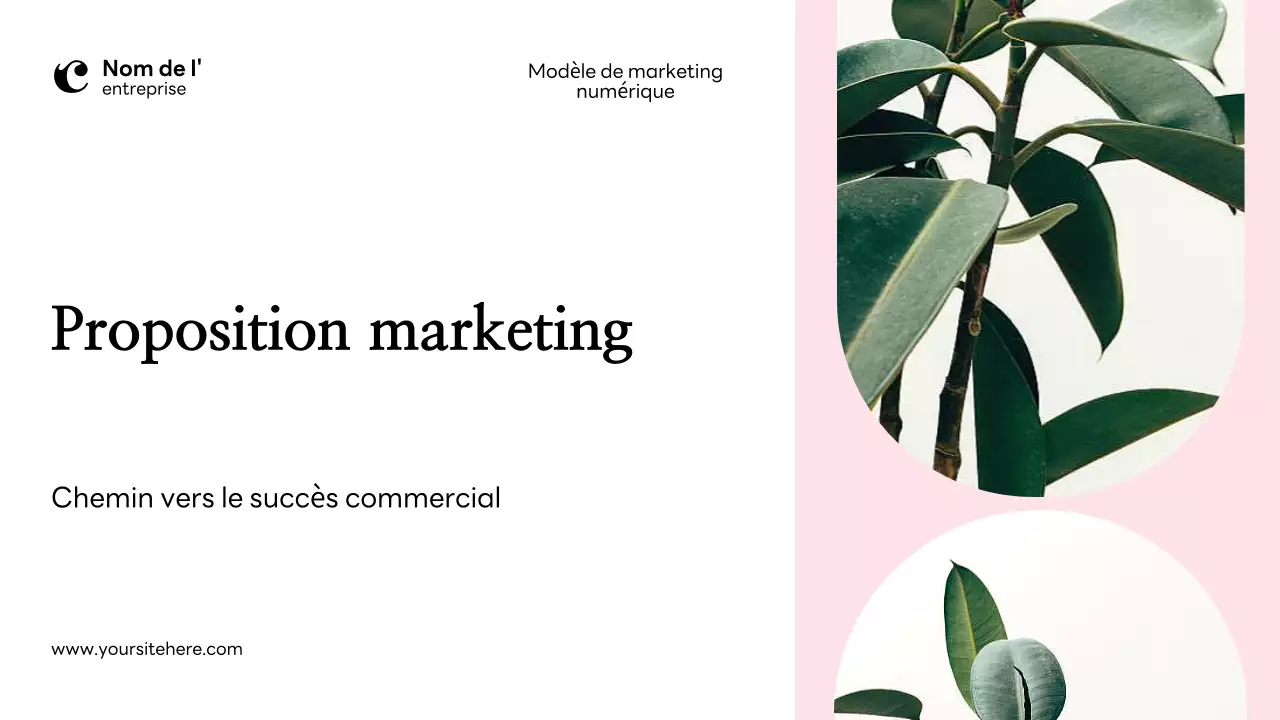Plan de marketing moderne rose