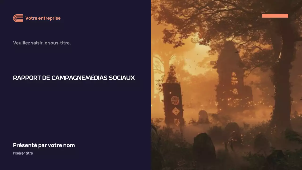 Rapport sur la campagne moderne de la marine