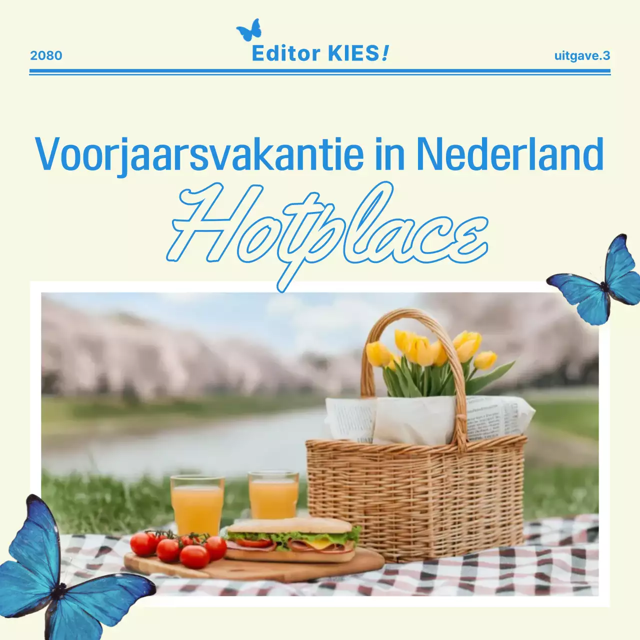 Beige Moderne Picknick Promotie