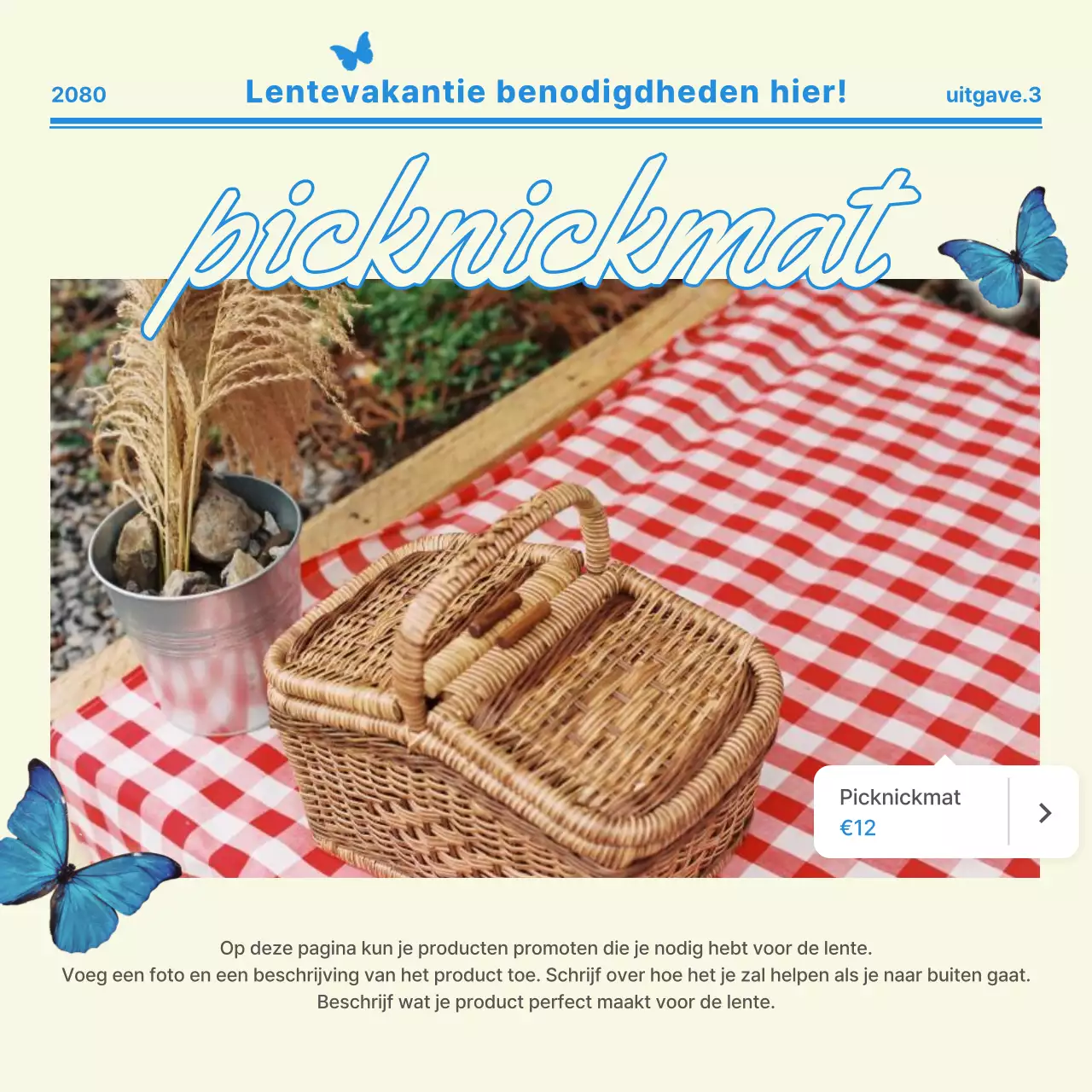 Beige Moderne Picknick Promotie