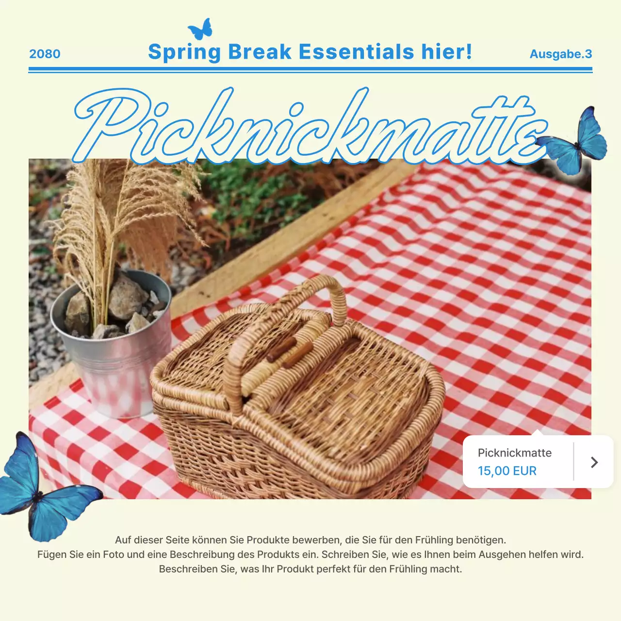Beige Modern Picknick Promotion