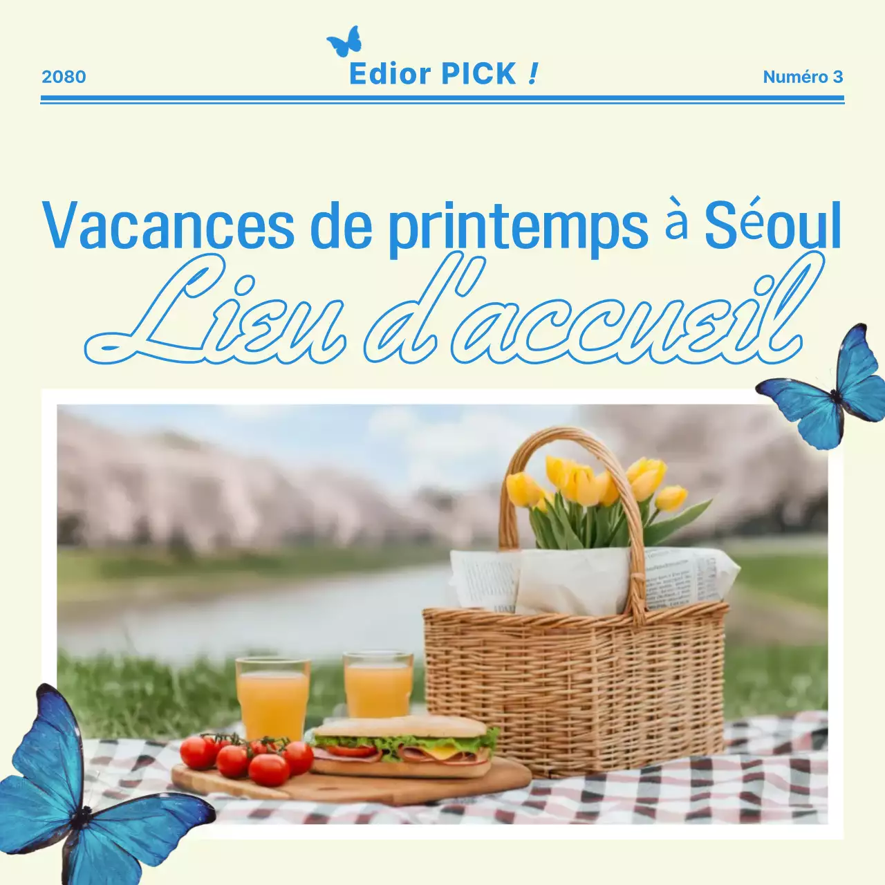 Beige Modern Picnic Promotion