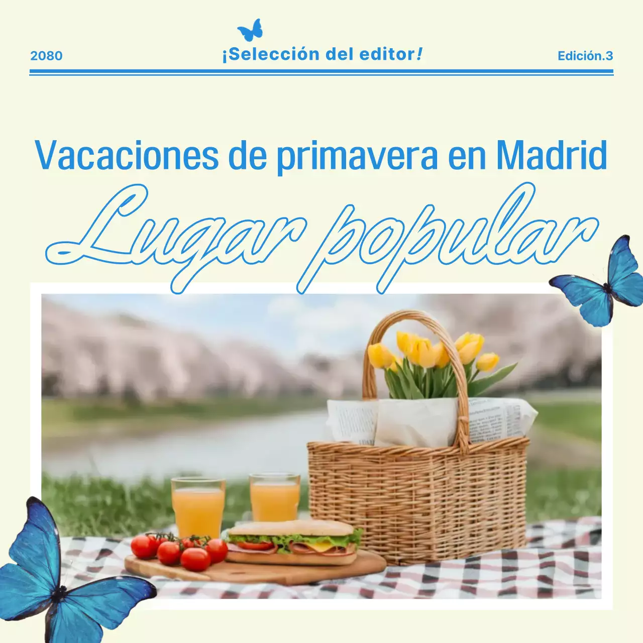 Promoción Picnic Moderno Beige