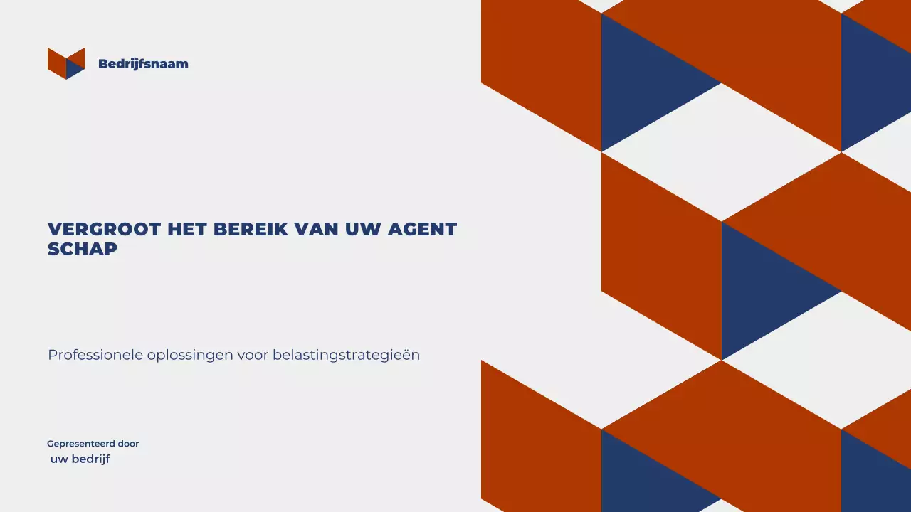 Geometric Belastingadvies Presentatie
